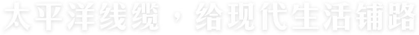 星欧娱乐线缆，给现代生活铺路