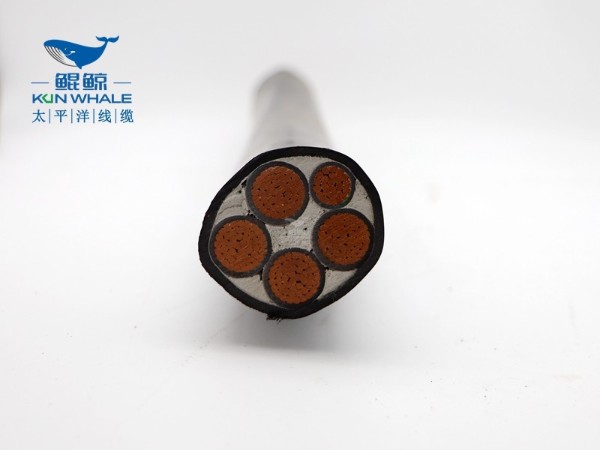 wdzyjy4x240+1x120<i style='color:red'>低烟无卤电缆</i>