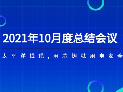 广东星欧娱乐线缆月度总结会议