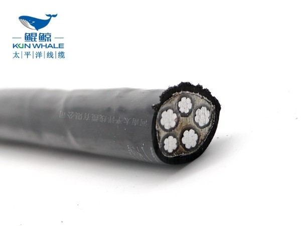 广东zc-yjlv22 3*25+1*16铝芯阻燃低压电缆价格