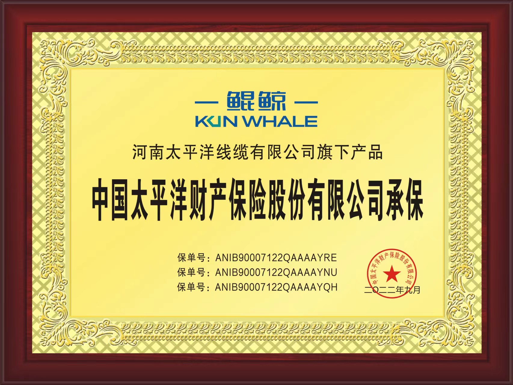 星欧娱乐保险承保