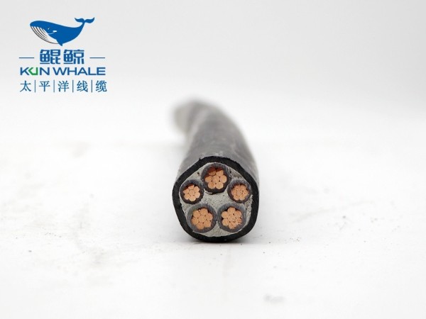 东莞电缆厂家供nh-yjv5x6耐火电缆