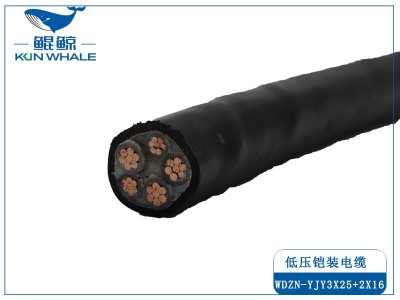 采用线缆标准时<i style='color:red'>如何选择电缆</i>？需要注意什么问题？