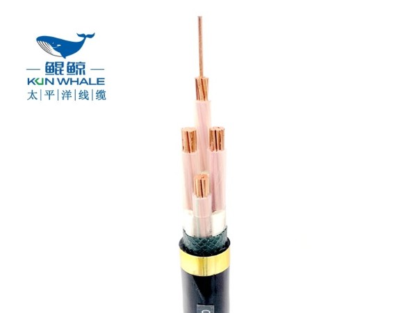 zcyjv3*16+1*10阻燃<i style='color:red'>低压电缆厂家</i>直供