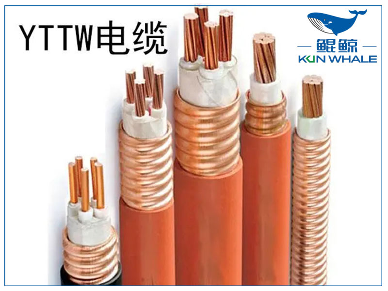 东莞电缆厂星欧娱乐线缆带你了解yttw电缆是做什么的以及优缺点