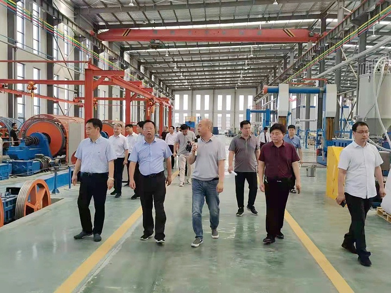 热烈欢迎市领导一行莅临广东星欧娱乐线缆调研督查