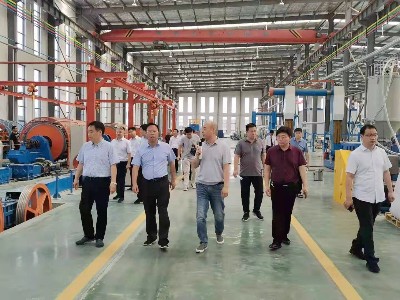 热烈欢迎市领导一行莅临广东星欧娱乐线缆调研督查