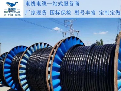 东莞电缆厂浅谈电缆着火怎么办呢？扑救办法在这里