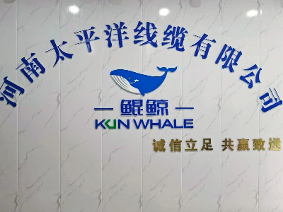 7-8月度总结会议在东莞星欧娱乐线缆总部会议室举行