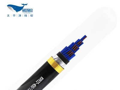 东莞电缆厂带你一文了解控制电缆和电力电缆的区别