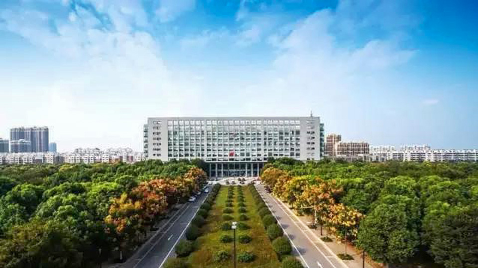 阜阳市颍上县政府-星欧娱乐线缆客户案例