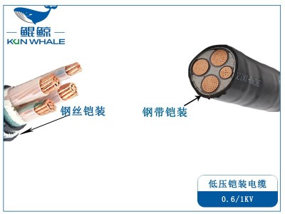 铠装电缆的钢带铠装电缆和<i style='color:red'>钢丝铠装电缆</i>的区别