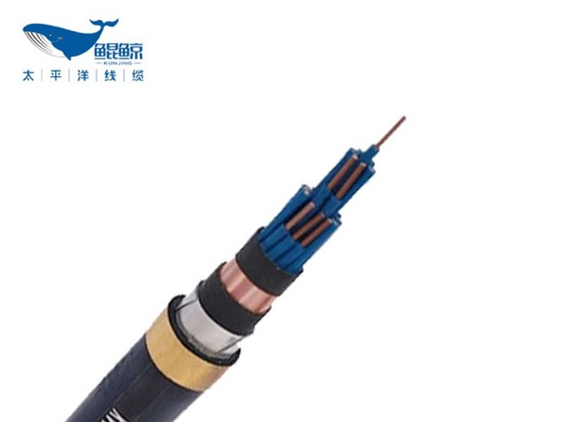KVVP2-22铠装<i style='color:red'>控制屏蔽电缆</i>