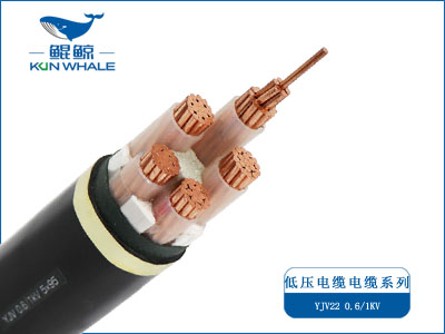 绞合输电线有哪些特性-广东<i style='color:red'>高低压电线电缆</i>厂家