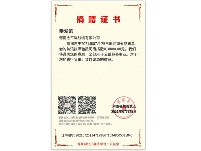 防汛抗洪驰援广东-捐赠证书