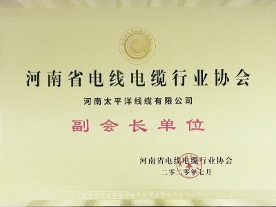 广东省电线电缆行业协会副会长单位